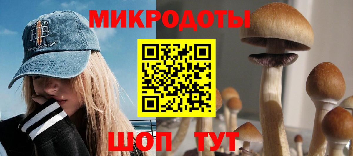 Галлюциногенные грибы Psilocybine cubensis Славгород