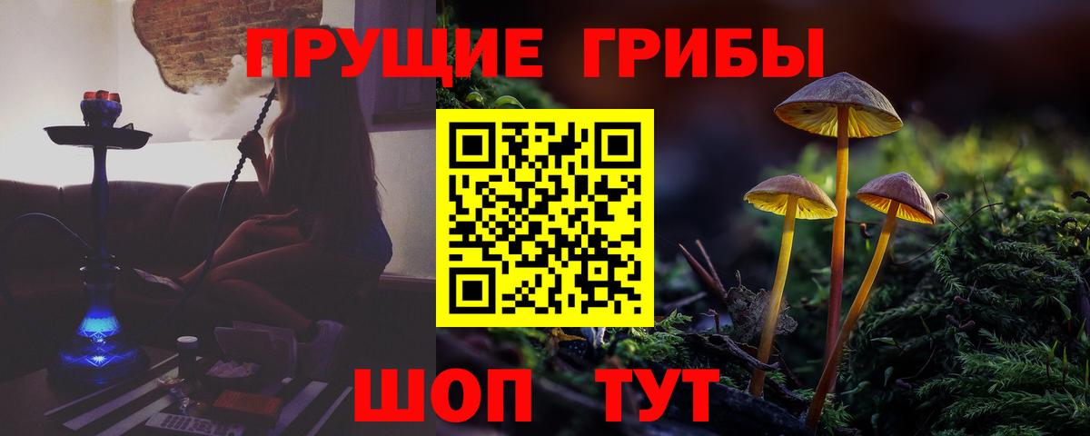 Галлюциногенные грибы мицелий  Вход с VPN  как найти закладки  Славгород 