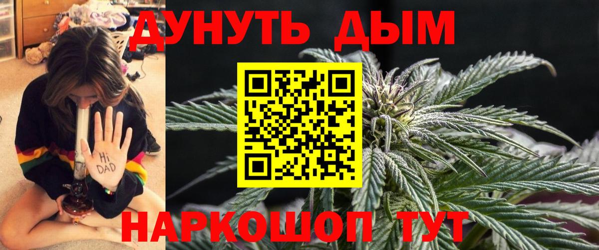 Шишки марихуана планчик  Вход с VPN  Славгород  Каннабис Ganja  Шишки марихуана семена  Бошки Шишки THC 21% 